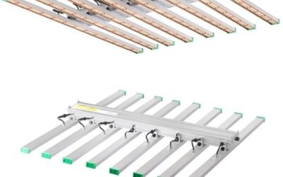 How Do Grow Lights Work