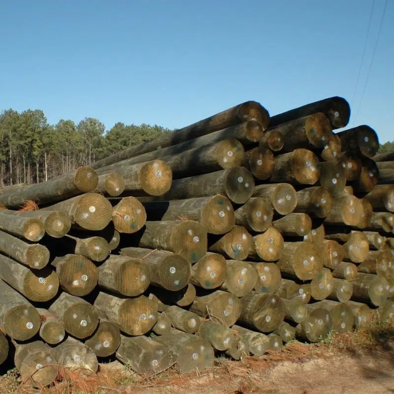 Southern Yellow Pine CCA Treated Wood Poles