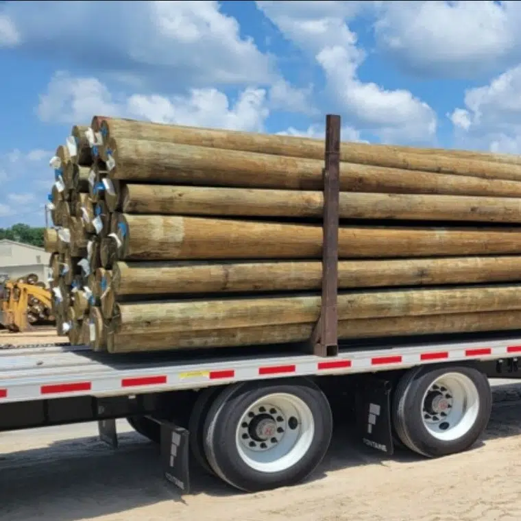 Southern Yellow Pine Utility Poles