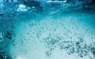 Damp Location Lighting vs Wet Location Lighting