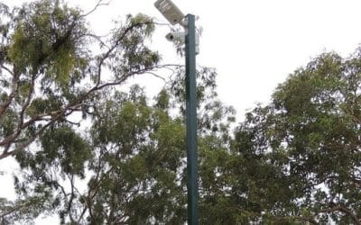 Buyers Guide to Composite Fiberglass Poles