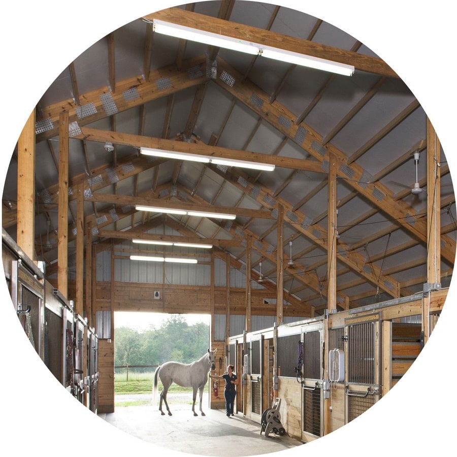 LED Lights for Horse Stables