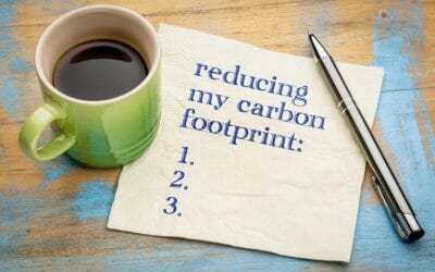 How to Reduce Your Carbon Footprint