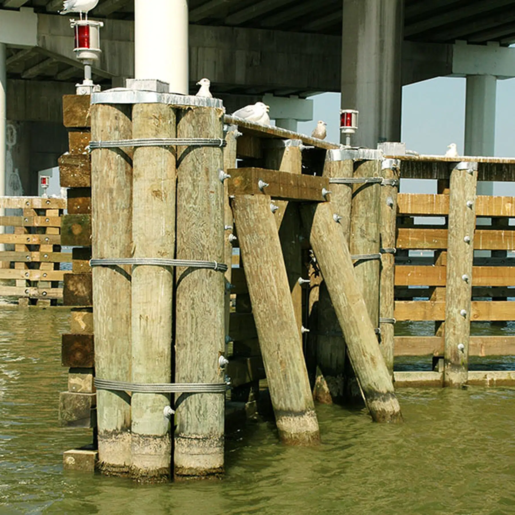 Marine Pilings