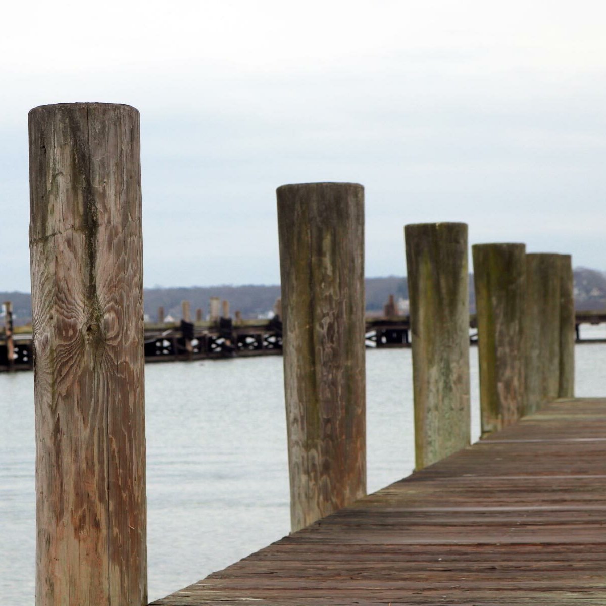 Dock Pilings