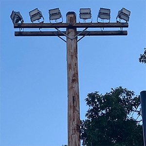 Poles By Project Type