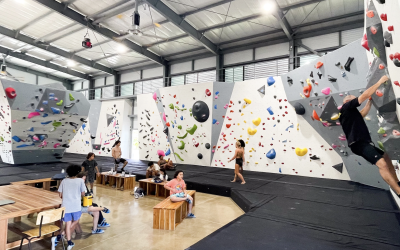 Gym Lights Case Study: Tamarocks Climbing and Fitness