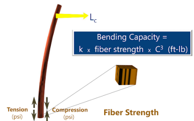 The Complete Guide to Wood Pole Standards
