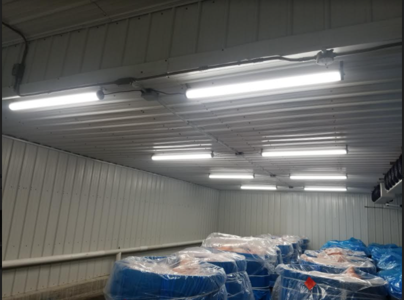 Nsf Fixtures Lighting Results