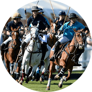 LED Lights for Polo Fields